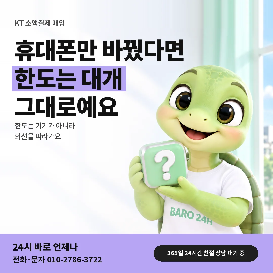 물음표 상자를 든 BARO 24H 티셔츠를 입은 3D 거북이 캐릭터 옆에 「KT 기기 · 유심 교체 뒤」 제목을 얹은 안내 카드